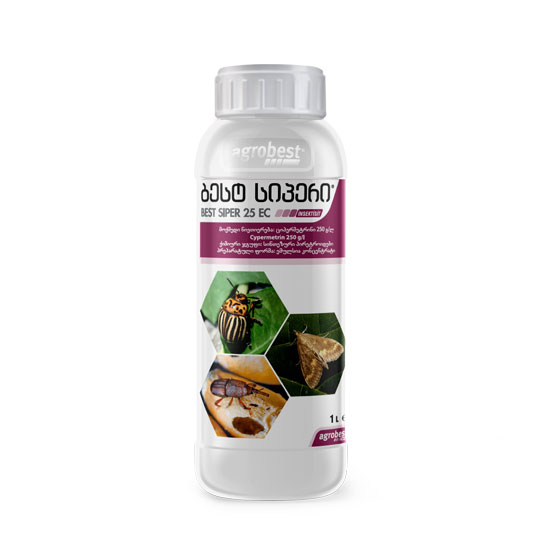 ბესტ ციპერი