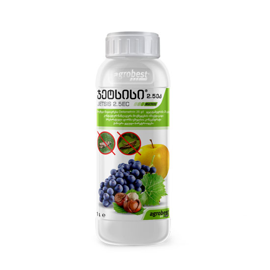 ჯეტსისი 2,5 ეკ