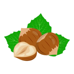 თხილის სქემა
